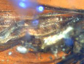 Zapatero descubre que significa su “cueste lo que cueste”