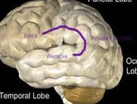 Científicos descubren que Alzheimer puede detectarse en sangre