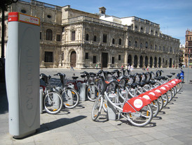 Legisladores desconocen problemas de discapacidad