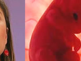 Jiménez de Parga analiza la desfiguración del ordenamiento constitucional