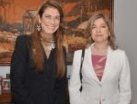 El TSJA prohíbe a la Junta desviar trabajo de sus funcionarios a las empresas públicas