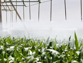 Asaja Murcia denuncia robos en fincas y explotaciones en los primeros días del año