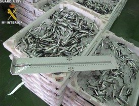 No hay reporte de peruanos muertos tras el terremoto en Haití