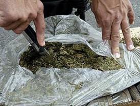 Ana Melena consigue estatus de refugiada política