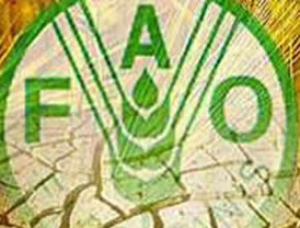 En AL 113 millones de personas pobres reciben apoyo