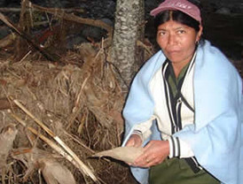 Roures quería a Monteira como primer director de Público