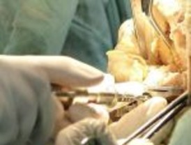 Para George Bush, Chávez complica lucha contra la narcoguerrilla FARC