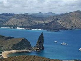 La crisis pasa factura al sector servicios, que redujo sus ventas un 3,2% en 2008 y perdió empleo