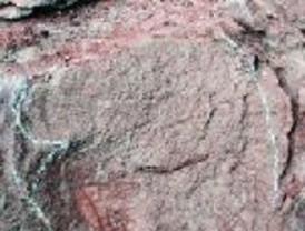 Iberia lanzará una nueva compañía para corto y medio radio