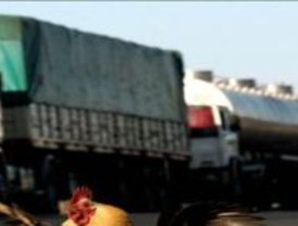 “CIA Airlines”, último libro de ‘cabecera’ de Llamazares