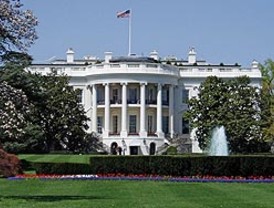 Portadas: el curioso caso de Rómulo León