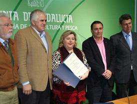 El turismo internacional creció un 7% a nivel mundial durante este primer semestre