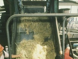 Madonna y su hija Lourdes graban juntas una canción