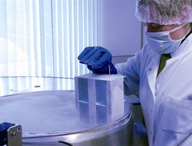 Experto de la Dexeus sitúa como techo óptimo para conseguir una tasa de embarazo coste-efectiva los 37 años de edad