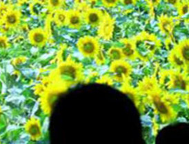 Se mejorará la atención en los rescates de montaña