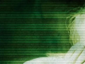 Erkoreka compara a Bono, por su futura presidencia del Congreso, con 'los cabestros, que deben estar bien acotados'