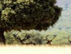 Turba secuestra a casi 100 policías en Moquegua