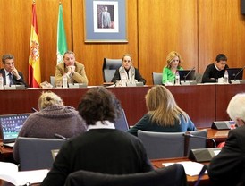 El Parlamento emitirá en directo desde este lunes las comisiones parlamentarias