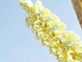 El Ibex aplaza el asalto a los 11.000 a la espera de noticias de la Fed