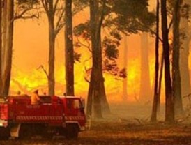 Un banquero que aprendió catalán en fin de semana