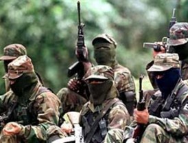 Ecuador tiene 712 pandillas