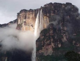 Corte Suprema ratifica multa a Celulosa Arauco