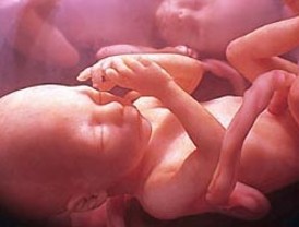 Embajador venezolano en Libia abandonó Trípoli por persecución