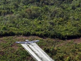 Historias de vino, singani y alcoba