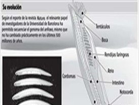 Rubalcaba promete recompensas a los policías que trabajaron en la repatriación de inmigrantes a Mauritania