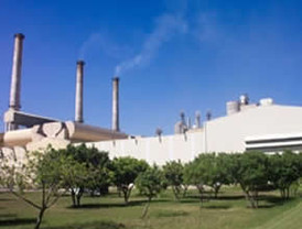 Juez rechaza solicitud de Vitro para reestructurar su deuda