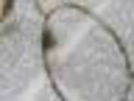 Suspenden Aló Presidente