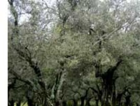 Mejora percepción de consumidor estadounidense en junio