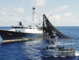 Piratas atacan barco pesquero taiwanés