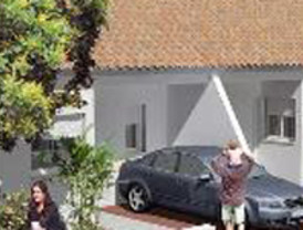 Competencia puede prohibir a CECASA almacenar aceite de oliva