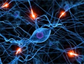 ¿Quién ganó el debate?