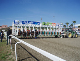 Todo listo para la gran jornada de la Mijas Cup