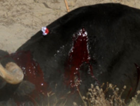 RCTV I busca volver a tener señal