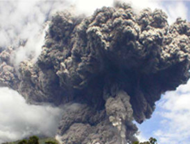 Arca considera una 'buena noticia' la demolición de La Arena