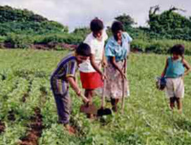 ¿Es un 'progre' Benedicto XVI?
