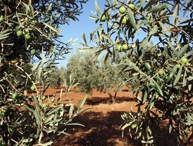 Felip Puig nega que la llei prohibeixi l'entrada de cascos de moto al Camp Nou