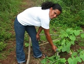 Chávez dice que sentencia contra comisarios fue incompleta