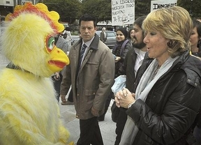 A Aguirre la persigue un pollo y a Rajoy... un panda