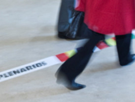 Carrillo, a Diariocrítico: 'Llamazares y Rosa Aguilar son los únicos con capacidades para liderar IU'