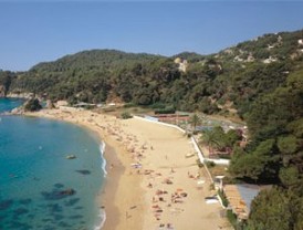 Esto no tiene arreglo: la confianza en la economia alemana cae a mínimos históricos