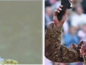 Billetes de avión gratis por San Valentín