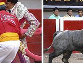 El PSOE se defiende por Benidorm: más tránsfugas en el PP