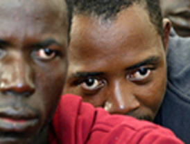 La 'psicosis aviaria' vuelve a Europa