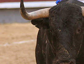 Renuncia a la candidatura de la Presidencia de Cuenca