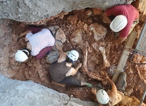 Aparece el esqueleto de un elefante de hace 100.000 años en Castelldefels