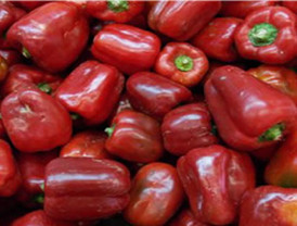 Querían matar a Kirchner en un atentado